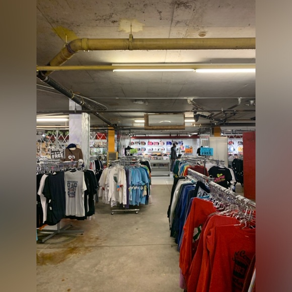 Meet your Posher, Ashlynn - Picture 4 of 9